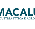 1442320520macaluso-newsletter.png